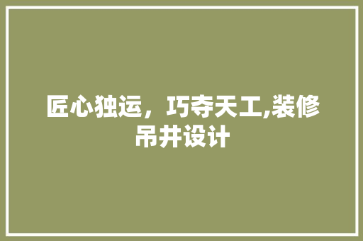 匠心独运，巧夺天工,装修吊井设计