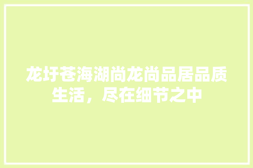 龙圩苍海湖尚龙尚品居品质生活，尽在细节之中