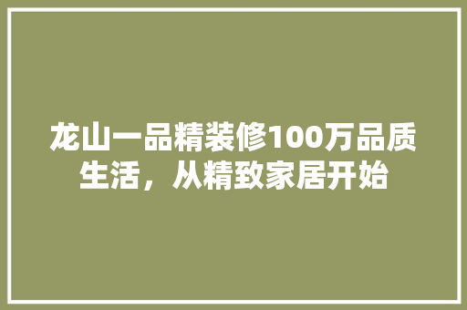 龙山一品精装修100万品质生活，从精致家居开始