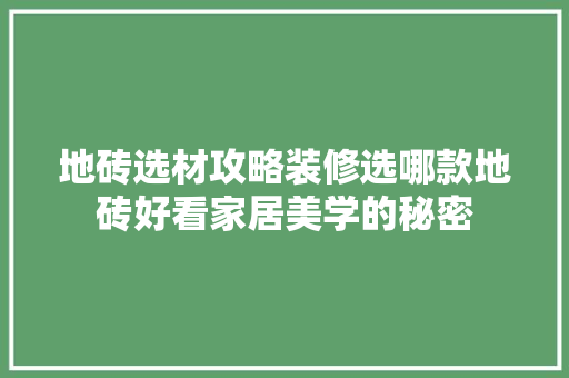地砖选材攻略装修选哪款地砖好看家居美学的秘密 第1张 地砖选材攻略装修选哪款地砖好看家居美学的秘密 第1张