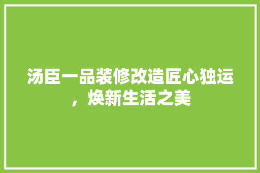 汤臣一品装修改造匠心独运，焕新生活之美