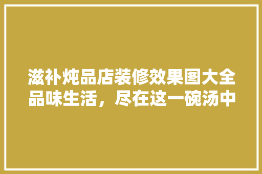 滋补炖品店装修效果图大全品味生活,尽在这一碗汤中