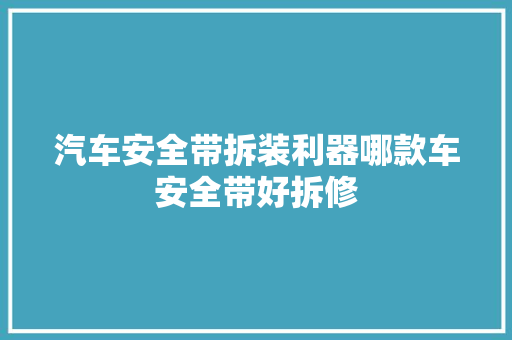 汽车安全带拆装利器哪款车安全带好拆修