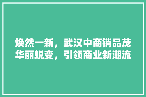 焕然一新，武汉中商销品茂华丽蜕变，引领商业新潮流  第1张