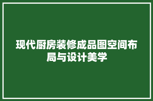 现代厨房装修成品图空间布局与设计美学  第1张