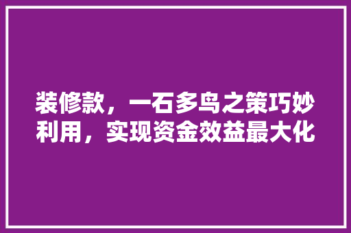 装修款，一石多鸟之策巧妙利用，实现资金效益最大化  第1张