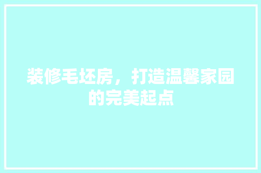 装修毛坯房，打造温馨家园的完美起点