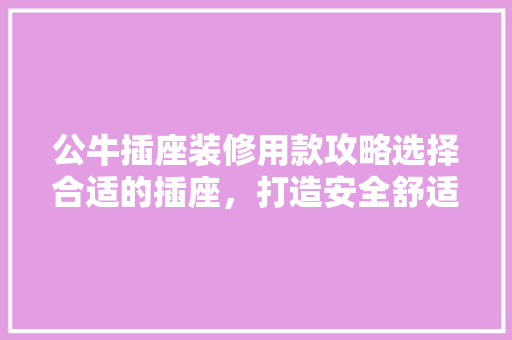 公牛插座装修用款攻略选择合适的插座，打造安全舒适的家居环境