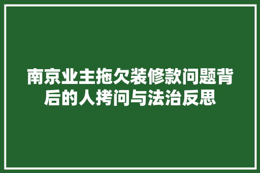 南京业主拖欠装修款问题背后的人拷问与法治反思 第1张 南京业主拖欠装修款问题背后的人拷问与法治反思 第1张