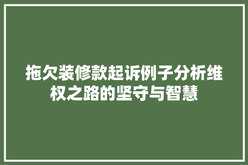 拖欠装修款起诉例子分析维权之路的坚守与智慧