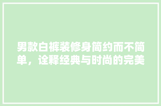 男款白裤装修身简约而不简单，诠释经典与时尚的完美融合