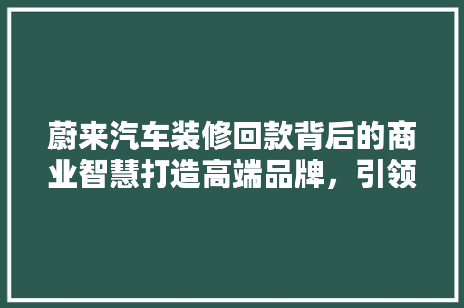 蔚来汽车装修回款背后的商业智慧打造高端品牌,引领绿色出行新时代