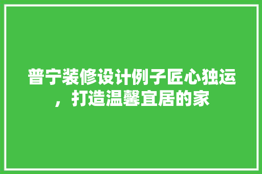 普宁装修设计例子匠心独运，打造温馨宜居的家